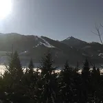 Pichler Διαμέρισμα *
