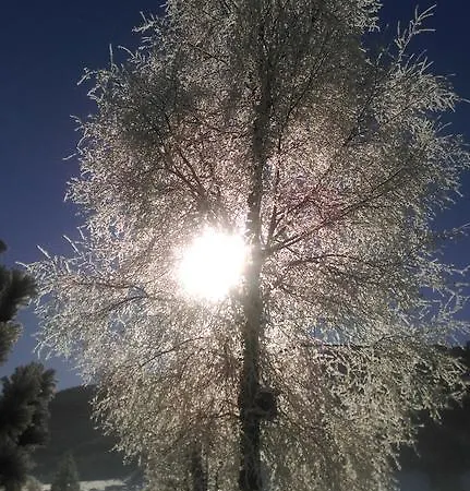 Pichler 라드스타드트